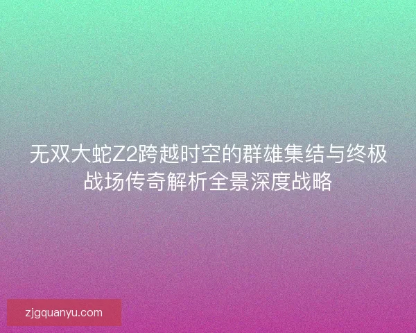 无双大蛇Z2跨越时空的群雄集结与终极战场传奇解析全景深度战略